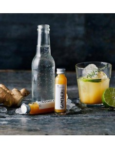 Gimber Concentrado Orgánico Puro de Jengibre con Limón,... 2